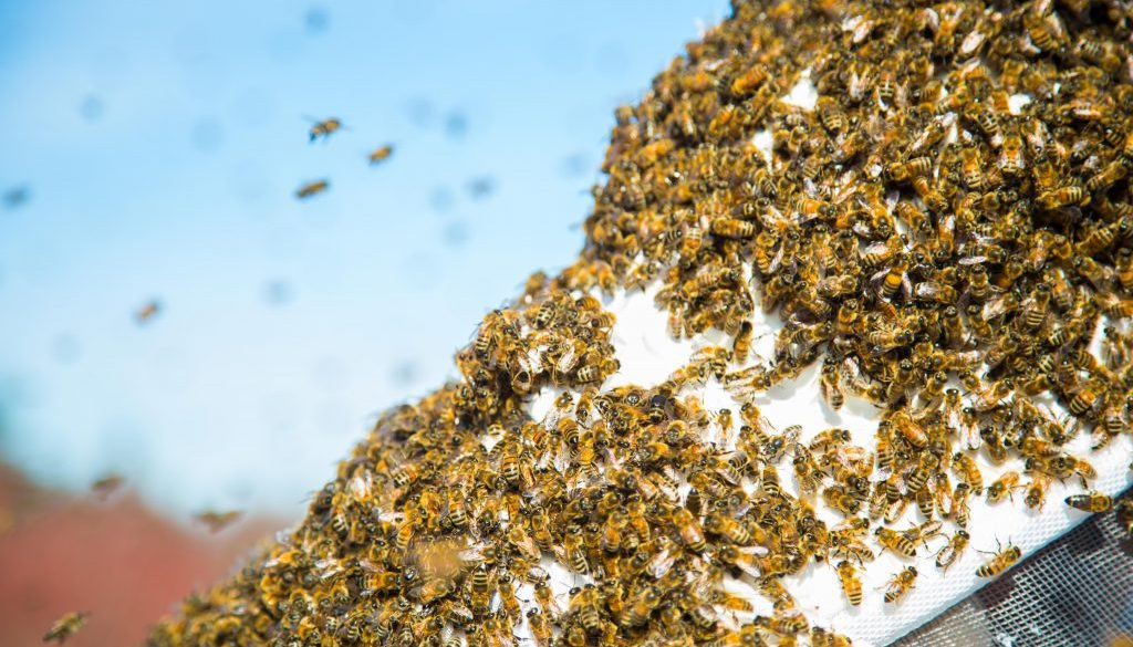 edgar-chaparro-463845-unsplash