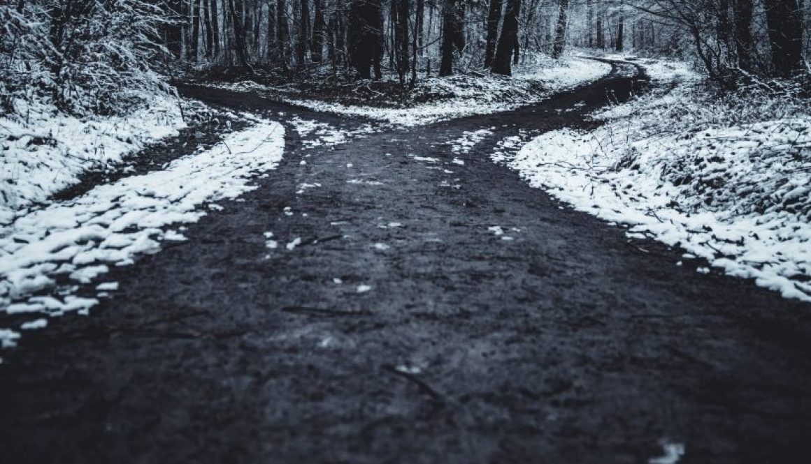 oliver-roos-571292-unsplash