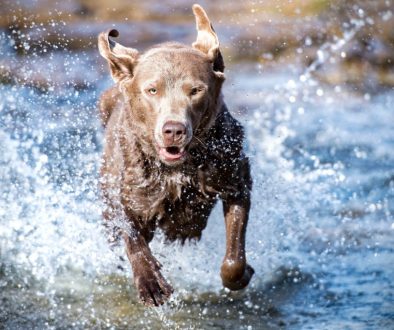 marcus-benedix-606296-unsplash